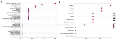 Gene Expression Changes and Associated Pathways Involved in the Progression of Prostate Cancer Advanced Stages